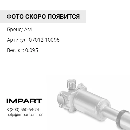 07012-10095 сальник гт AM