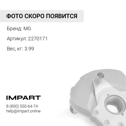 2270171 Подушка MG 2270171 2355027 2270172 1434650 3582857 4429021 1611156 3711641 MG