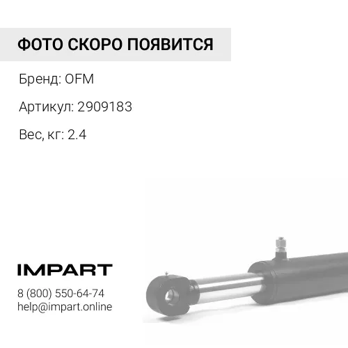 2909183 втулка OFM