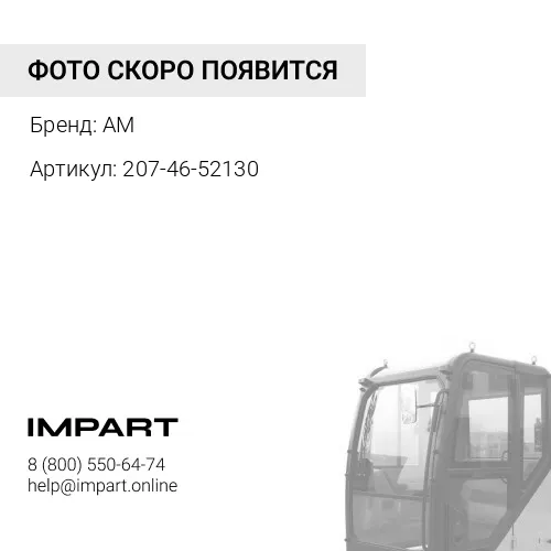 207-46-52130 Шайба AM