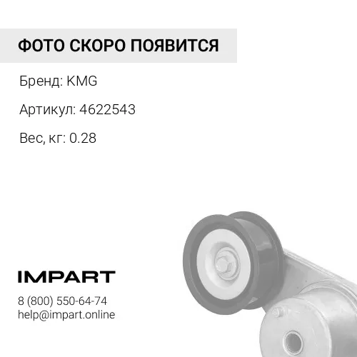 4622543 Подушка опоры двигателя KMG