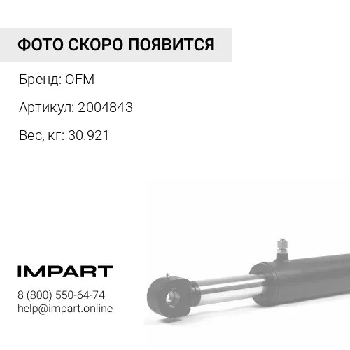 2004843 Палец г/ц стрелы OFM