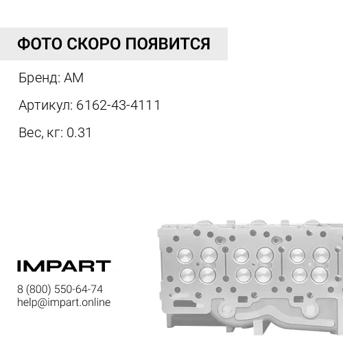 6162-43-4111 клапан впускной AM