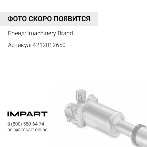 4212012650 Ось крепежная 421-20-12650/421-20-A1120 Imachinery Brand