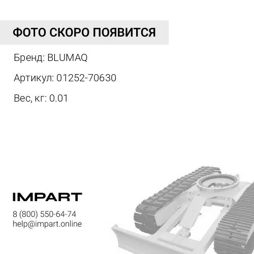 01252-70630 Болт BLUMAQ