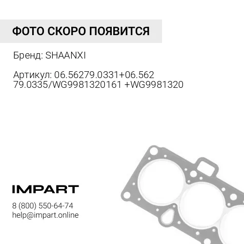 06.56279.0331+06.56279.0335/WG9981320161+WG9981320 Сальник редуктора среднего моста (75x95x10) F3000 SHAANXI