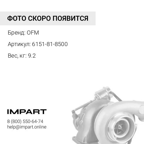 6151-81-8500 Турбонагнетатель OFM