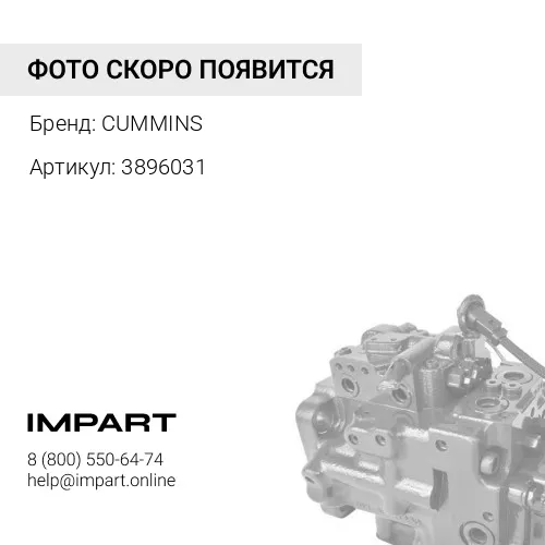 3896031 Поршень в сборе Cummins QSM ISM M11 3803976 4025161 3803704 3896031