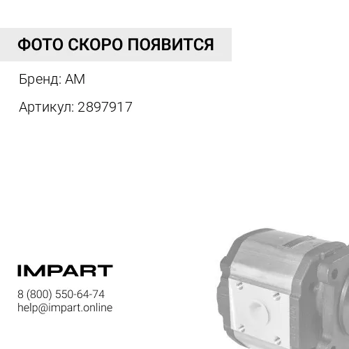 2897917 Насос шестеренчатый AM