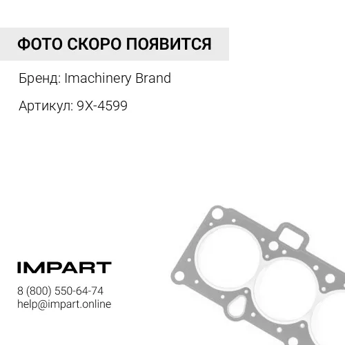 9X-4599 Уплотнение 9X-4599/166-1498 Imachinery Brand