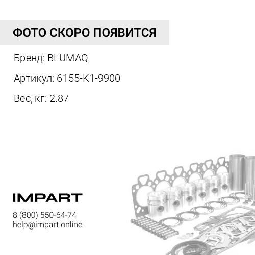 6155-K1-9900 Ремкомплект BLUMAQ