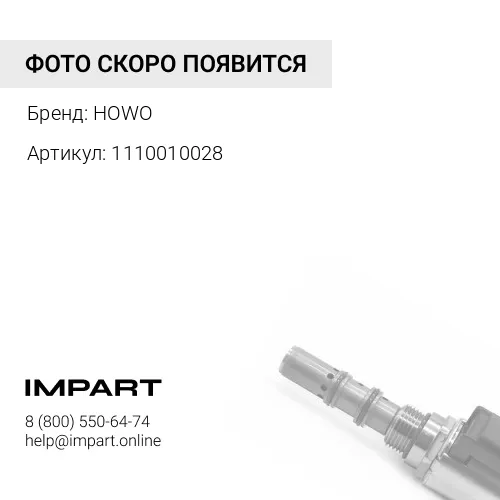 1110010028 Клапан топливной рампы (рейки) Евро3 (BOSCH 5317174) (3974093/1110010028)