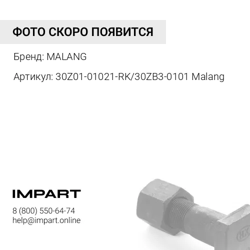 30Z01-01021-RK/30ZB3-0101 Malang Ремкомплект шкворня DF (2 шкв,втулки,шайбы,подш,кольца, упл.крышка MALANG