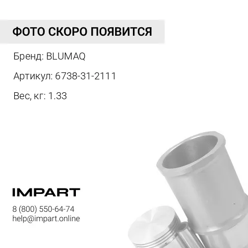 6738-31-2111 Поршень BLUMAQ