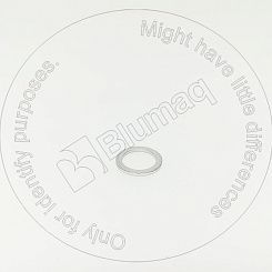 0677011 OR ШАЙБА BLUMAQ