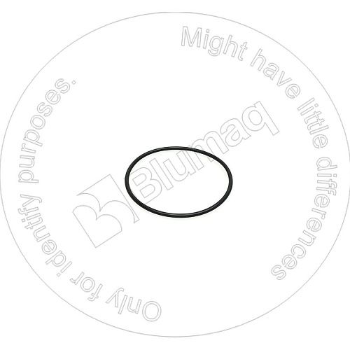 0289102062 OR УПЛОТНИТЕЛЬНОЕ КОЛЬЦО